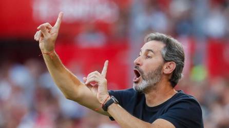 Vicente Moreno, destituido en el Almería