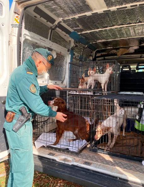 Foto: Guardia Civil Foto: Guardia Civil