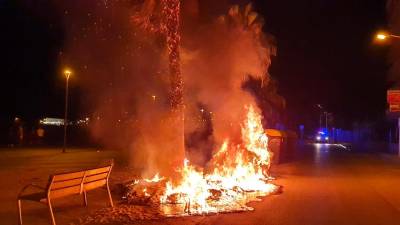 El fuego del paseo Rafael Campalans ha destrozado los contenedores, la palmera y un banco. FOTO: Policia Local Torredembarra
