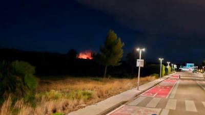 Las llamas cerca de la urbanización. Foto: José Luis Valiente