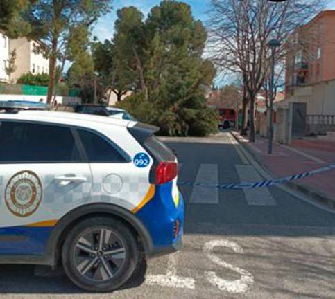 El pino caído en Cambrils. Foto: Policia Local