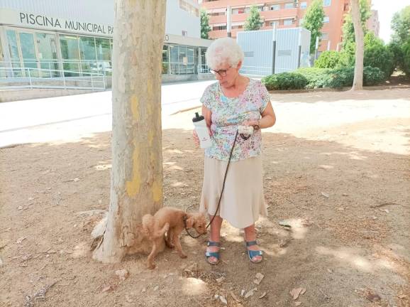 Informadores y policía de paisano en Tarragona contra las cacas de perro en la calle