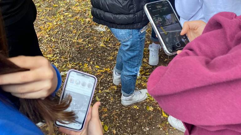 La prohibición de los móviles en primaria, etapa en que los alumnos tienen entre 6 y 12 años, se espera que pueda entrar en vigor al inicio del próximo curso escolar. Foto: EFE
