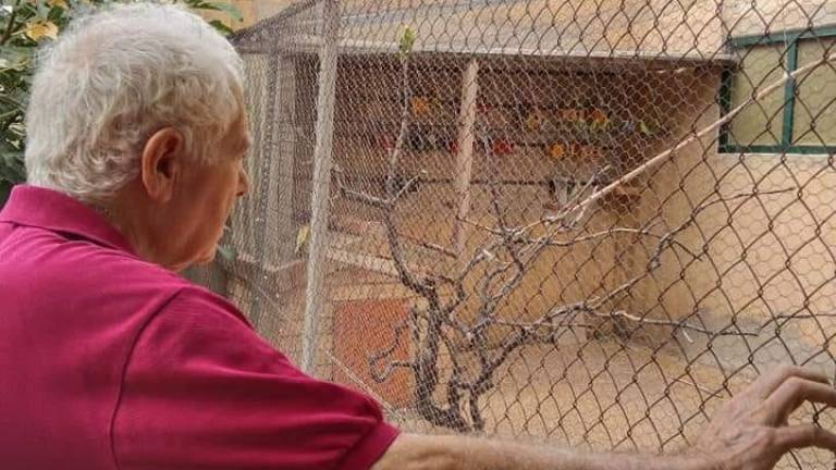 Antonio, un usuario del centro, junto al jaulón donde suele contemplar el vuelo y los colores de los periquitos.