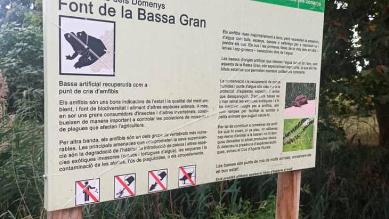 $!Intervención para proteger una de las principales zonas de anfibios del Baix Penedès