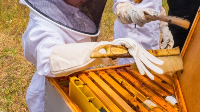 Descubriendo cómo trabajan las abejas del Castell de Riudabella