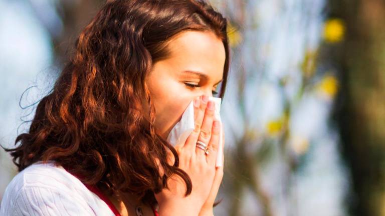 Las alergias al polen afectan a 8 millones de personas, según la Sociedad Española de Alergología e Inmunología Clínica. Foto: G. Images