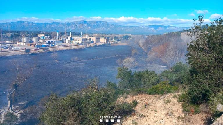 Vista de la zona quemada. Foto: Agents Rurals