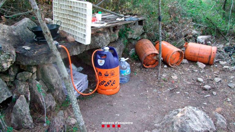 En el lugar donde pernoctaban se encontró alimentos y bebidas, mochilas, ropa y varios productos fitosanitarios. Foto: Mossos