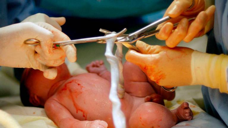 Este año, 168 madres han dado la placenta después del parto y 643 han dado sangre del cordón umbilical. Foto: Cedida