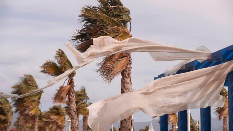 El viento afectará especialmente a la parte sur de Tarragona. Foto: EFE