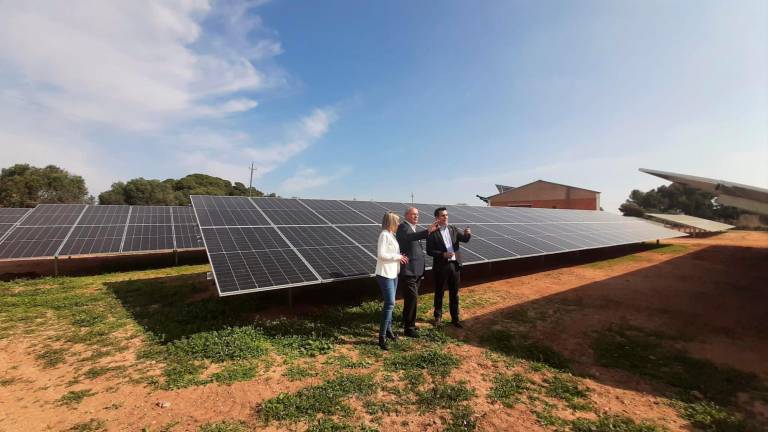 Aigües de Reus inaugura el mayor parque fotovoltaico de la ciudad