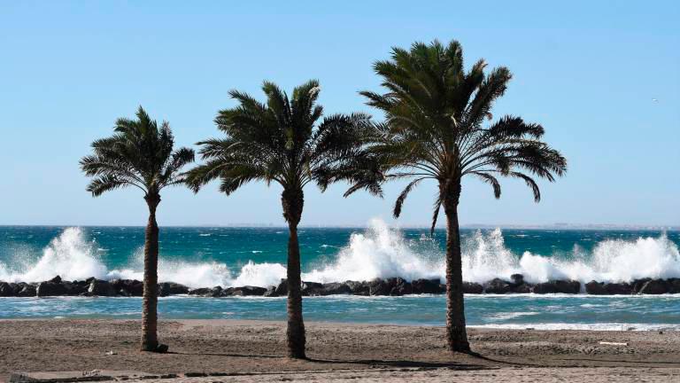 El viento azotará Tarragona durante la tarde de este lunes y las primeras horas del martes. Foto: EFE