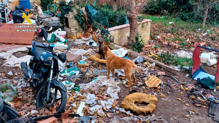 Imagen de uno de los perros hallados viviendo entre basura. Foto. Guardia Civil