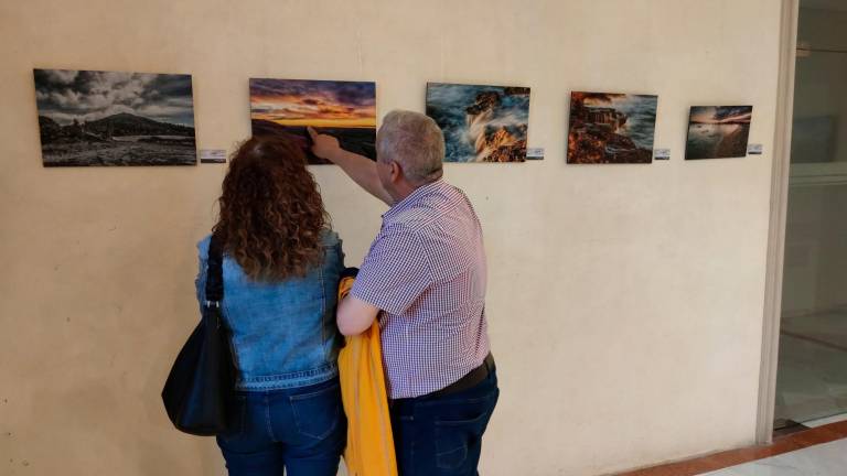 ‘Instants de natura’ se puede visitar hasta el próximo 17 de junio en el Palau Bofatull de la Diputació en Reus. FOTO: CEDIDA