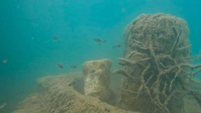 Uno de los arrecifes que se han instalado y que ya se ha convertido en un nido de especies marinas. Foto: Cedida