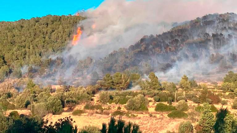 Imagen del incendio forestal en Calafell el pasado 14 de marzo. Foto: DT