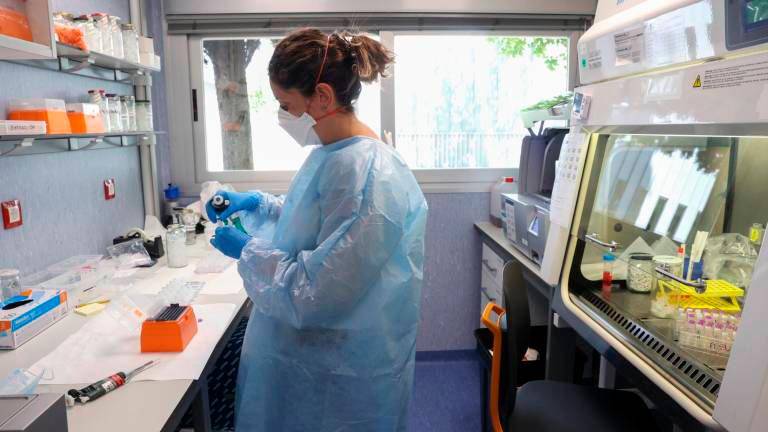 5.300 dosis de vacunas llegarán a España para combatir la viruela del mono
