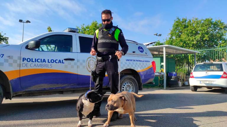 $!Imagen de un agente de la Policia Local de Cambrils con dos perros potencialmente peligrosos. Foto: Cedida