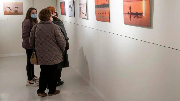 A l’exposició de Cambrils s’hi podran veure les obres que han realitzat 18 parelles d’artistes. Foto: Joan Revillas