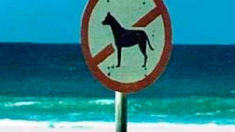 $!El Vendrell cerrará las playas a los perros
