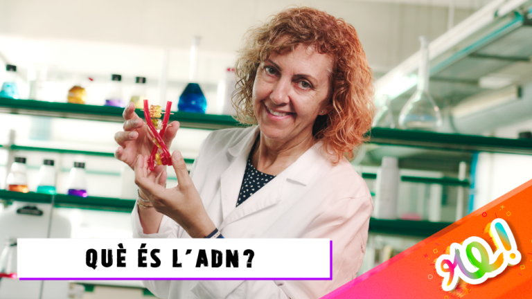 Eva Pocurull, doctora en química (URV), en la cápsula “¿Qué es el ADN?’. FOTO: URV