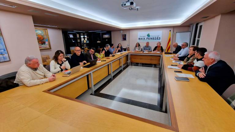 La reunión de los alcaldes del Baix Penedès con la secretaria de Afers Socials.