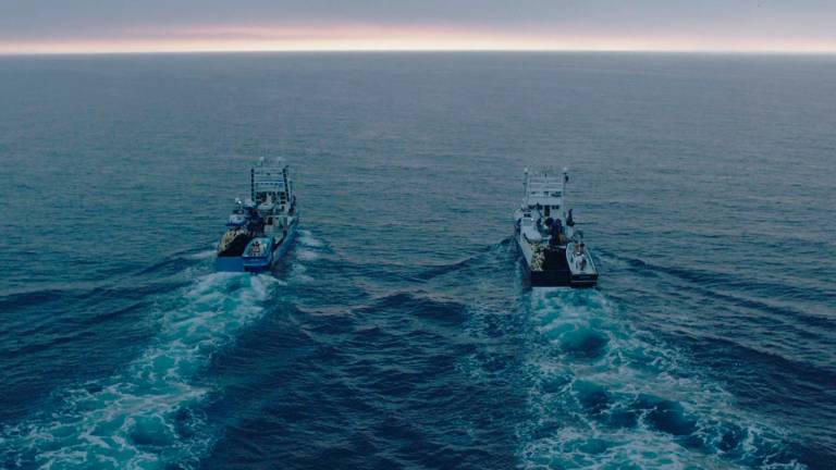 La flota ha detectat grans bancs de tonyines que no ha capturat per evitar riscos operatius. Foto: ACN