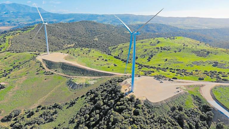 La iniciativa ‘Bosque Naturgy’ permitirá la reforestación de una zona degradada de Galicia, y es su primer bosque corporativo. Foto: Cedida