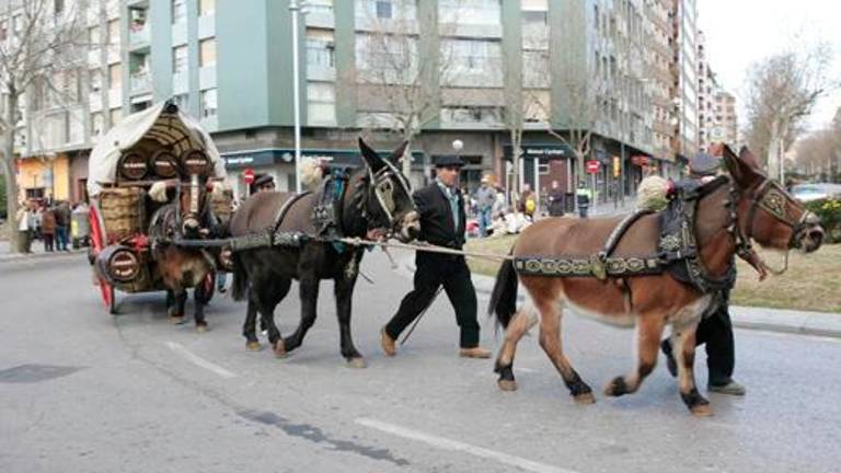 Imatge d’una edició passada dels Tres Tombs de Reus. Foto: Ajuntament de Reus