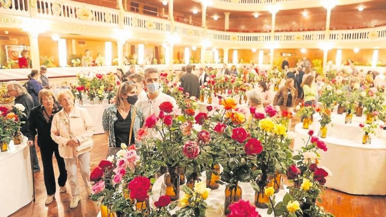 El Teatre Bartrina acollirà l’exposició de roses fins dilluns en horari de matí i tarda. foto: Alba Mariné