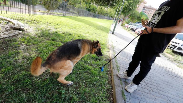 TGN denuncia a 7 personas en julio por no recoger las heces de su perro