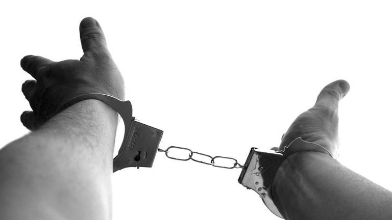 36 cadenas perpetuas para el monstruo sexual de Scotland Yard