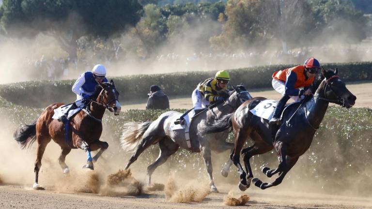 $!Carreras de caballos en Vila-seca. Foto: Pere Ferré