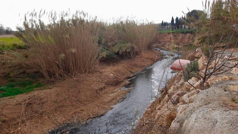 La neteja del barranc de Mascalbó ha tingut un cost de 11.000 euros
