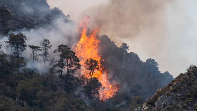 Catalunya sigue sufriendo una sequía grave que deja la vegetación muy vulnerable al fuego. Foto: EFE