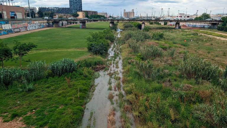 El agua vuelve a correr por el tramo final del Francolí. Foto: Álvaro Rodríguez