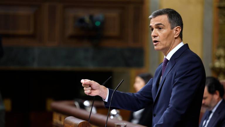 Imagen de Pedro Sánchez en el Congreso. Foto: EFE