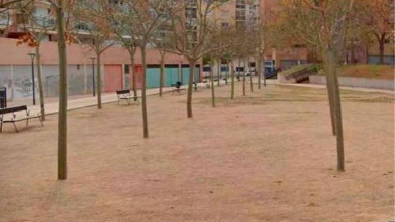 Es dissenyaran parterres que afavoreixin la capacitat de retenció de l’aigua, entre d’altres. Foto: Cedida