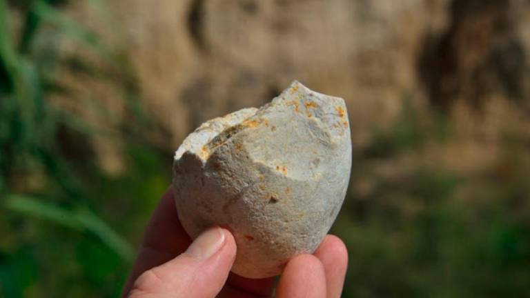 Còdol tallat en el nivell 2 de la Mina, al Barranc de la Boella, recuperat durant les darreres campanyes d’excavació. Foto: Andreu Ollé/IPHES-CERCA