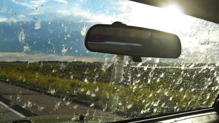 La guía definitiva para mantener limpios los cristales del coche en verano