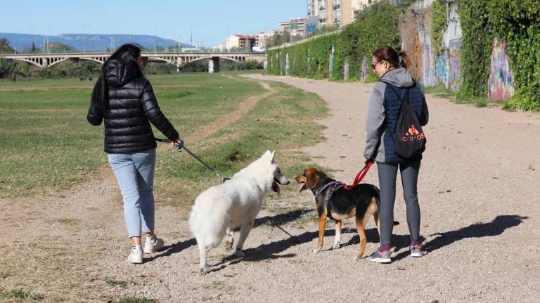 Dos mujeres paseando a sus perros al lado del Francolí. Foto: Pere Ferré