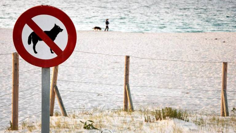 El Vendrell no permitirá la entrada de perros a las playas.