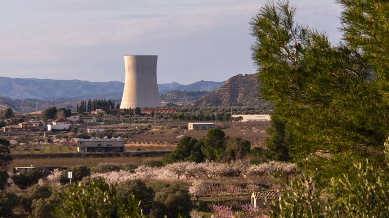Central nuclear de Ascó, donde hay una parada no programada de los dos reactores. Foto: Joan Revillas/DT