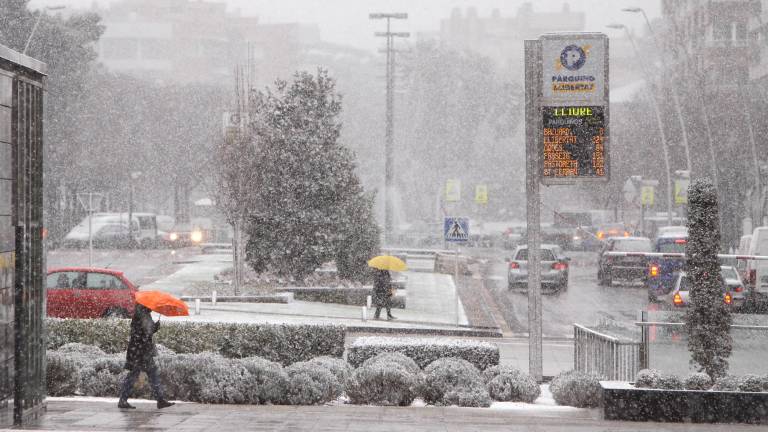 Nevada en Reus en 2010. Foto: Pere Ferré / DT