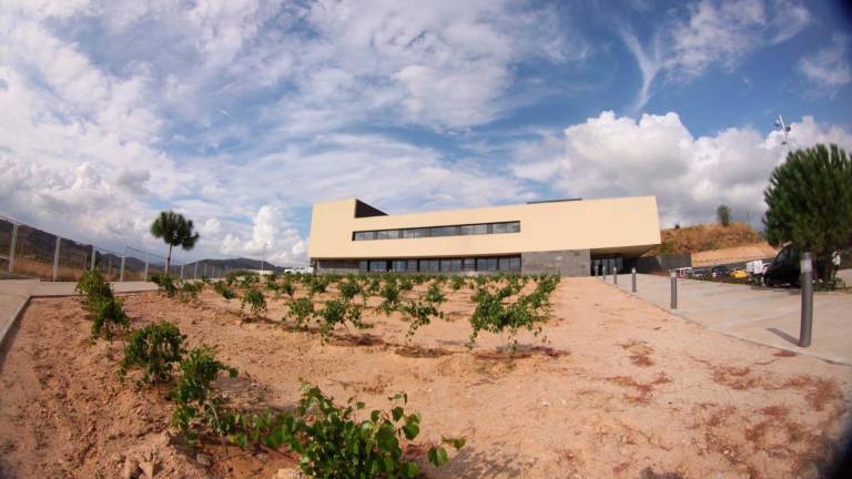 La seu central de VITEC està ubicada a Falset, la capital del Priorat. Foto: Pere Toda