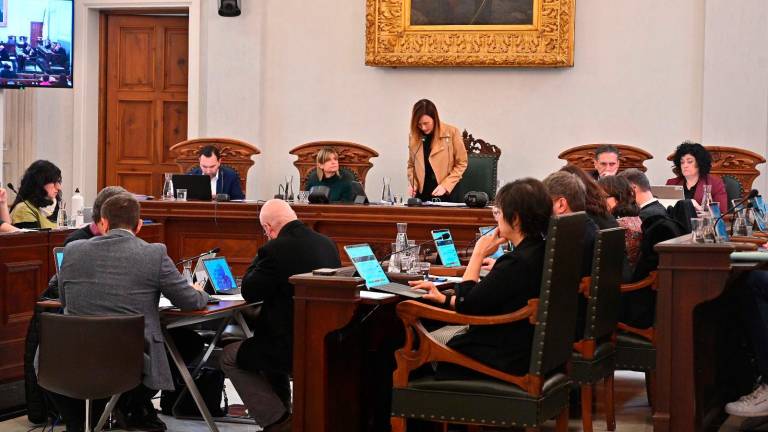 Instante del pleno del Ayuntamiento de Reus celebrado este viernes, 15 de marzo. Foto: Alfredo González