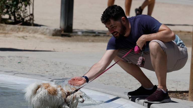 El calor será muy elevado durante las próximas jornadas. Foto: EFE