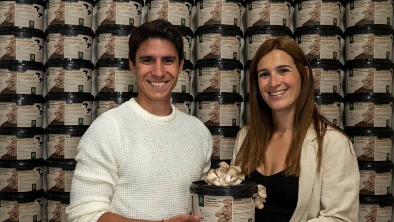 Noah Ecoliving: Cultivar setas en posos de café