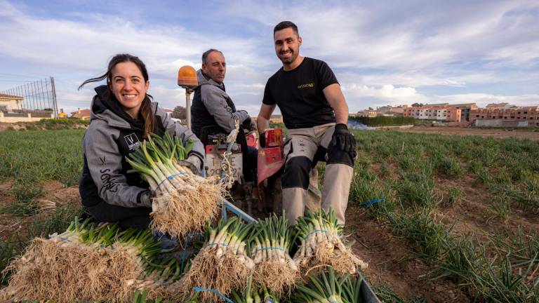 Aleix Solà y Miriam Esplugas elaboran productos de panadería con los calçots IGP de Valls que cultiva Pere Esplugas, quien conduce el tractor. FOTO: ÀNGEL ULLATE